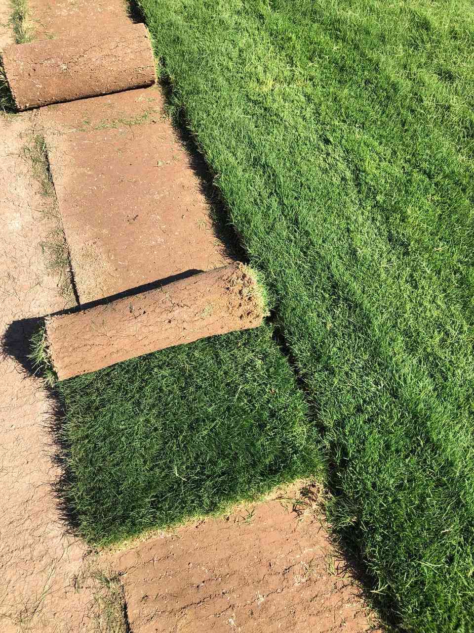 العين لتجهيز كافة انواع الثيل الطبيعي 🌿🌱
 نقدم لكم افضل انوع الثيل الطبيعي عالي الجوده يتحمل كافه الظروف البيئية🌦️🌞
الانواع المتوفرة (هندي - فرنسي - ايطالي )
#مستعدون لتجهيز وفرش الحدائق🏡 ودوائر الدولة🏡والمنازل🏡
و تجهيز الملاعب🏟️ والمنتزهات بانسب الاسعار مع #ضمان الجودة العالية في العمل👷
مع خدمة التوصيل كافة المحافظات 
#الاسعار 💵💸 تختلف حسب الكمية 
 التواصل مع الصفحة عن طريق ارسال رسالة على الوتساب او الاتصال
‏‪***********‬‏
‏‪***********‬‏
#العراق #بغداد
