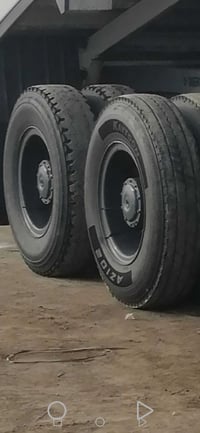 3 ازواج براميخ ابو التسعه للبيع او مراوس بصاج  07819956826//0772737519...