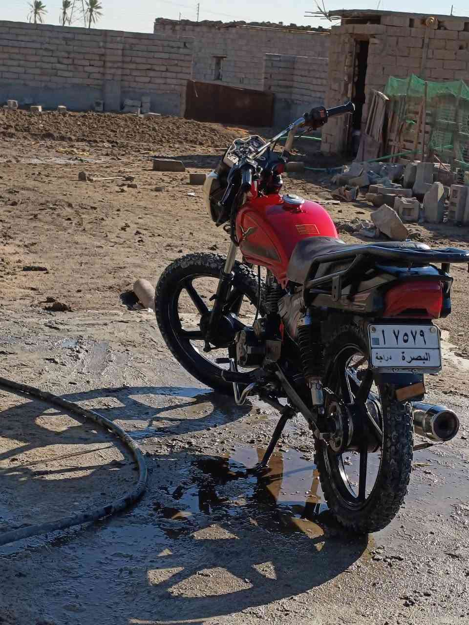 للبيع السعر 550 رقم الهاتف واتساب ***********
دراجه رقم و سنويه تحويل ثاني يوم
