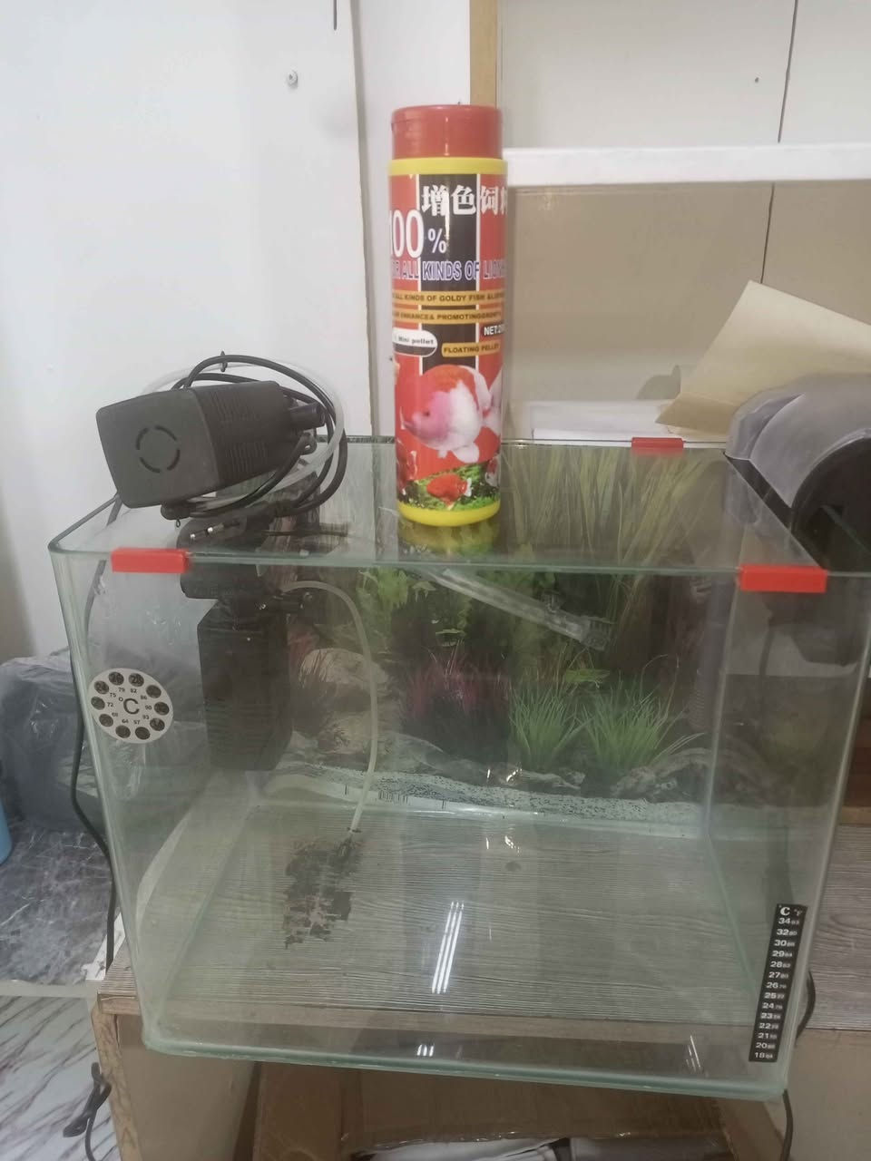 حوز مال سمج مع ثلاثة اكسجين و اكسجين شلال سعر 30 الف مع توصيل دهوك, العراق


**إذا كنت صاحب هذا الإعلان وتريد حذفه لأي سبب، رجاءا أرسل رسالة إلى الدعم الفني**