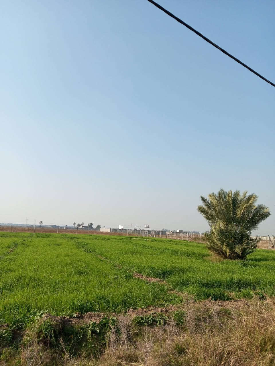 هذا دونمين طابو زراعي سند 25 وجه 64 على شارع ابو غريب منطقه 10 مناصير كامل الخدمات ماء كهرباء شارع تبليط مجاور مزارع وشاليهات 

***********
