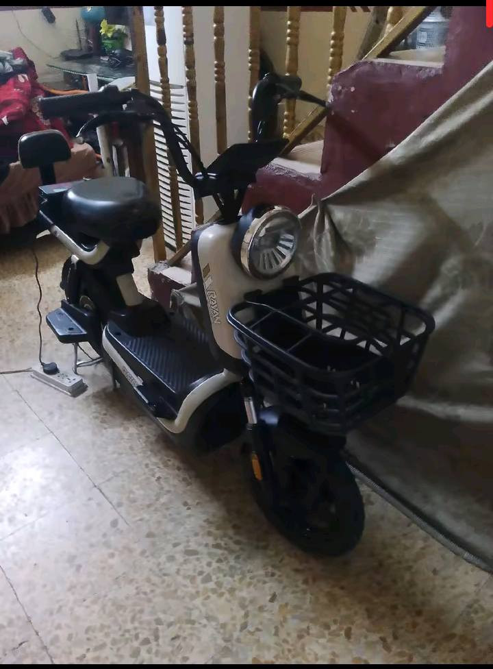 للبيع او مراوس


**إذا كنت صاحب هذا الإعلان وتريد حذفه لأي سبب، رجاءا أرسل رسالة إلى الدعم الفني**