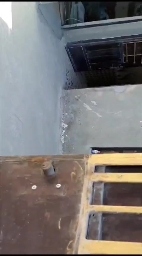 من رخصت الادمن بيت للبيع بسعيده على الشارع العام قرب شارع السندباد السعر25 وبي مجال تواصل على هاذ الرقم ***********
