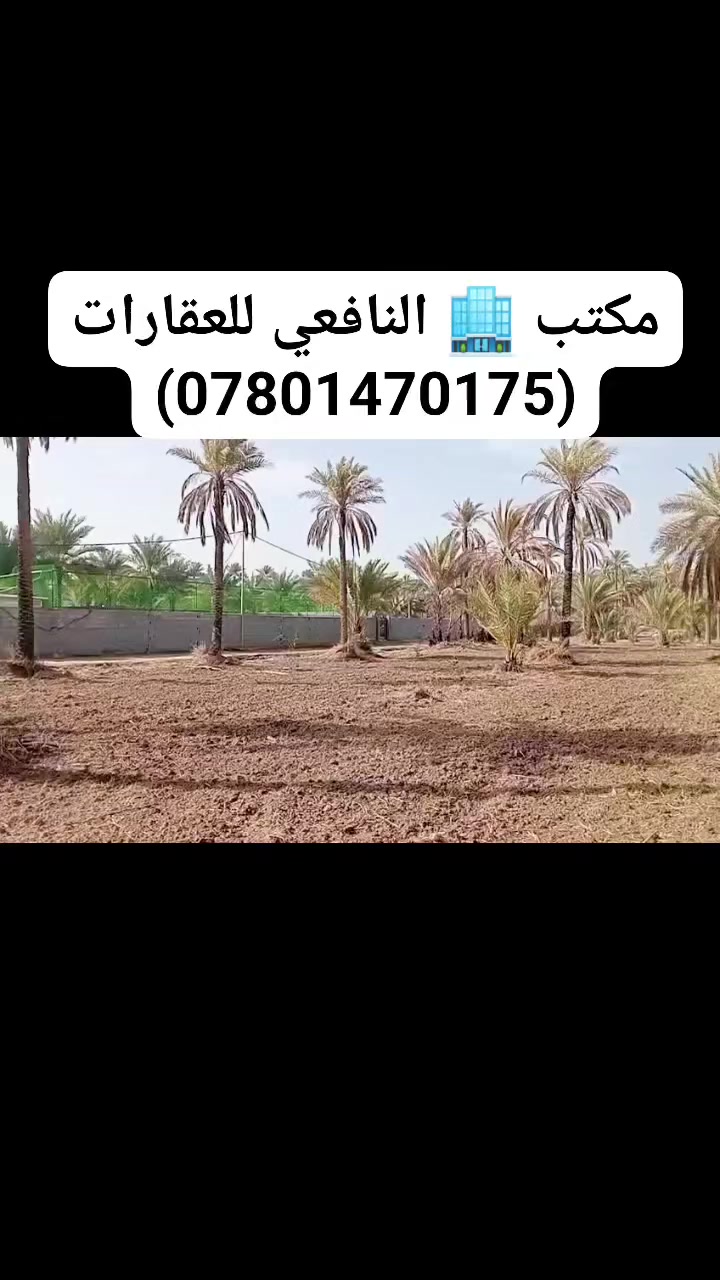 يالله أللهم صل على محمد وآل محمد) للبيع دونم طابو زراعي

 تحويل سهم 🎯 مباشر بأسم المشتري تتوفر كافة الخدمات

 كهرباء مي سقي سيح مي اساله مولد واجهة الدونم 120 متر

 ونزال 21 متر العنوان كربلاء الحسينية منطقة ام ماشة 

تبعد عن التبليط الفرعي 150 متر وعن شارع السيده زينب كيلو 

وعن مركز المدينة 16 كيلو 

#السعر___200__مليون___مع_المجال_للجاد_بالشراء 

للاستفسار اكثر اتصلوا بالأرقام التالية 

(  ***********  )(  ***********  )

ابو فاطمة عنوان المكتب شارع الحسينية قرب جسر 🌉 الإبراهيمية مقابل شارع عون مكتب النافعي للعقارات -كربلاء        #اشاره #الاصدقاء #متابعين #اكسبلور #الجميع #متابعين #اكسبلور #الجميع #متابعين #اكسبلور @أبرز المعجبين @إشارة @إشارة
