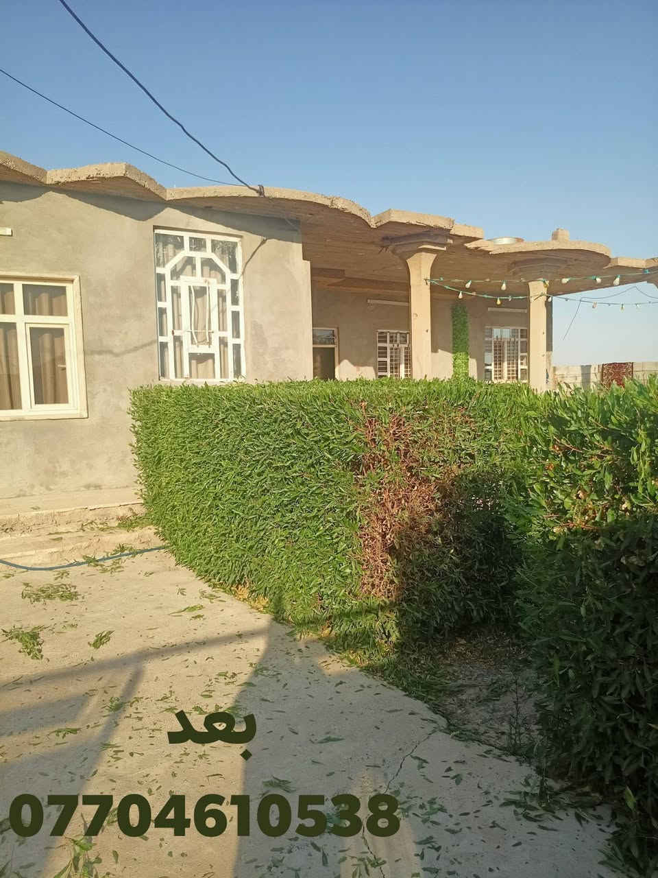 شغل اليوم تقليم اس نينيه تكرب نخل 
اتصل، ***********
