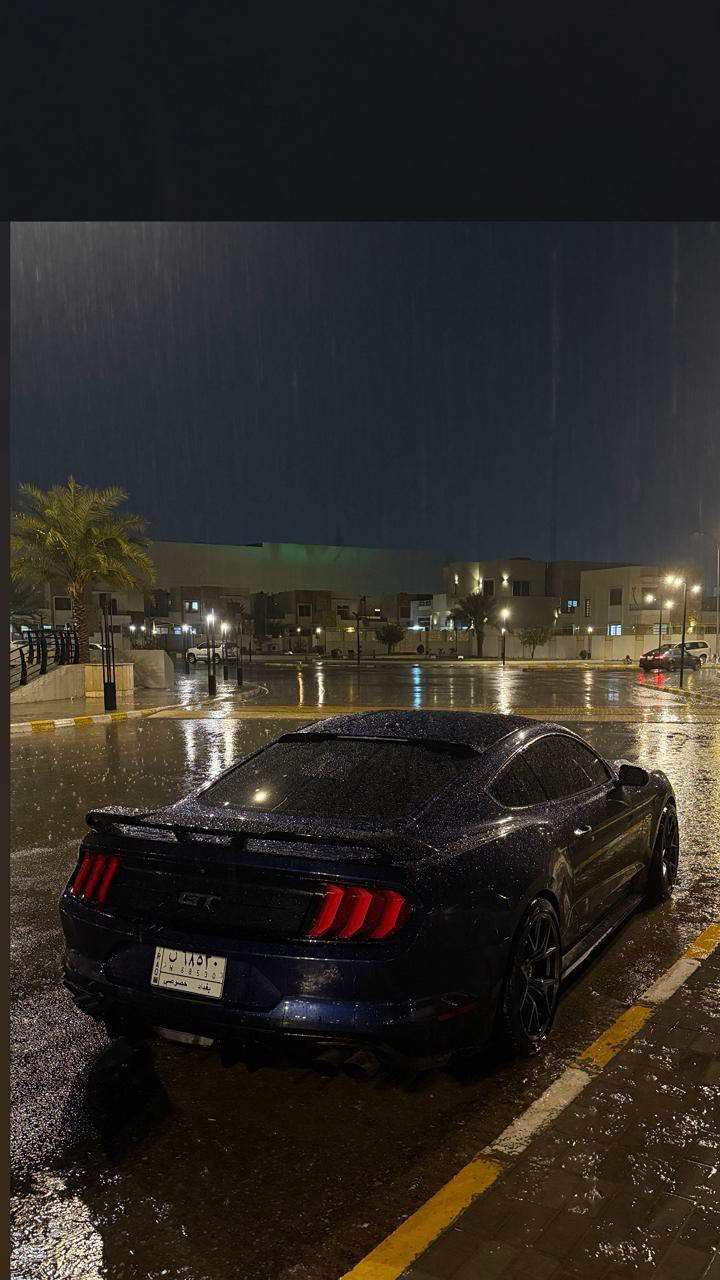 للبيع او المراوس حسب القناعه
فورد موستنك كير عادي GT 2019 Pp2
الموديل 2019 
العداد 49 الف 
المحرك V8 / 5.0 🔥
الگير  كير عاددي ناقل يدوي
الـون أزرق - حبري 💙
الضرر او الحادث سيارة كلين وصار بيها 4اصابع بالعراق بارد ☑️

#مضمومه_مواستخدام_يومي_السياره
- السيـارة فووووول مواصفات Pp2
- ⁠عليهـا هواية أضافـات 

اكتف اكزوز 4 وضعيات صوت
فجوج برمبو 6 بستم مو 4 )#
‏‎-خمس وضعيات قيادة
‏‎-ثلاث وضعيات ستيرن
‏‎-دشبول سبع الوان 
-دوسات سيع الوان
‏‎-كشنات كهرباء
‏‎-حساسات خلفيه
‏‎-سستم صوت
‏‎-شاشة sync3 تدعم الكاربلي + اندرويد اوتو
ادامة كامله جديده من منظومة بانزين والنوزلات + بلكات ريسنك جدد قبل يومين شديتهم + دهن ادينول جديد
الاكسل 3.73 مو مثل الفول 2.55
.. دفيوزر لايت اوربي $100
لدات جانبيه ابيض اوربي 90$ اوربيه
‏Ford Performance $150 / كاعيات وارضيات جلد طراز
‏GT-60$ قبضه كير
ستيرن فورجيت كاربون$400
شباك امامي CS 150$
سكوبات بلوجكترات اماميه RTR 50$ #
 لحيه اماميه RtR 75$+اضافة
دوسات جانبيه RTR 70$+اضافة
واقعيات دعاميه خلفيه جوانب RTR 50$
السيارة مفرغة داون بايب وبرمجـة سيف تيتو
سيارة وياها سترين الاصلي وفورجد
وياها بك لايتات الاصلي والاوربي 
وشباك عدد 2وياها ابو لد والاصلي

السعر 195 ورقه وبيه مجال للشراي 
الموقع : تكريت 📍
للتواصل واتساب او اتصال ***********

مكلفين بالنشر فقط اي استفسار ع واتساب ‼️
رابط الواتساب المباشر للمراسله 👇🏻♻️🔰
https://wa.me/9647738446987
