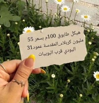 كربلاء المقدسة • هيكل طابوق درجة أولى • ١٠٠م