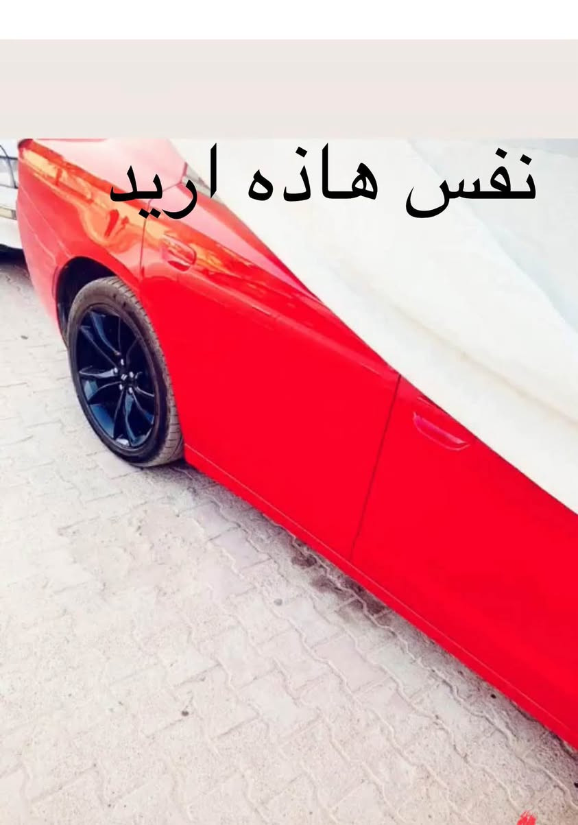 شباب عدي ويل مال جيتي نضيف كلش اريد مراوس بويل بلاك توب *********** البصرة, العراق
