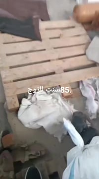 ٦٠٠٠ زوج • تركي • رجالي نسائي