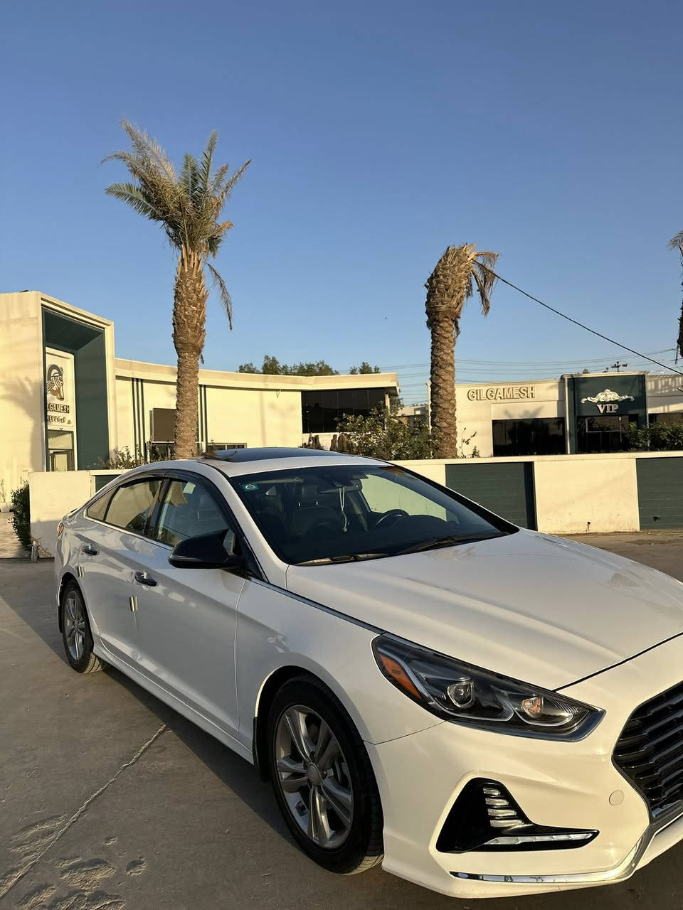 سلام عليكم 
للبيع فقط سوناتا 2018 لمتدد هزه ورقم جديد 
وارد امريكي فول مواصفات vip
حادث  قبق الجنطه والجاملغ الخلفي +دعاميه اماميه  مبدله بدون ايرباك  ماشيه 65 الف بدون تكشير 
موصفات المتدد معروفه 
>بصمه 
>فتحه
>رادار امامي 
>رادار جانبي 
>لايت زنون داينمك وي لستيرن
>كشنات جلد 
>كشنات كهرباء تدفاء تبريد 
>شاحن لاسلكي
>حساس خلفي 
>كشنات ذاكره 
>فتحه سقف 
>سايد بريك بصمه 
>نضام AUTO HOLD
>محرك 2400 
>اربعه انضمه قيادة 
>صندوق يفتح عند الاقتراب 
>بردات خلفيه 
>تبريد خلفي 
>رقم بغداد بااسمي 
>مكاني نجف 
>استفسار او واتساب ***********
