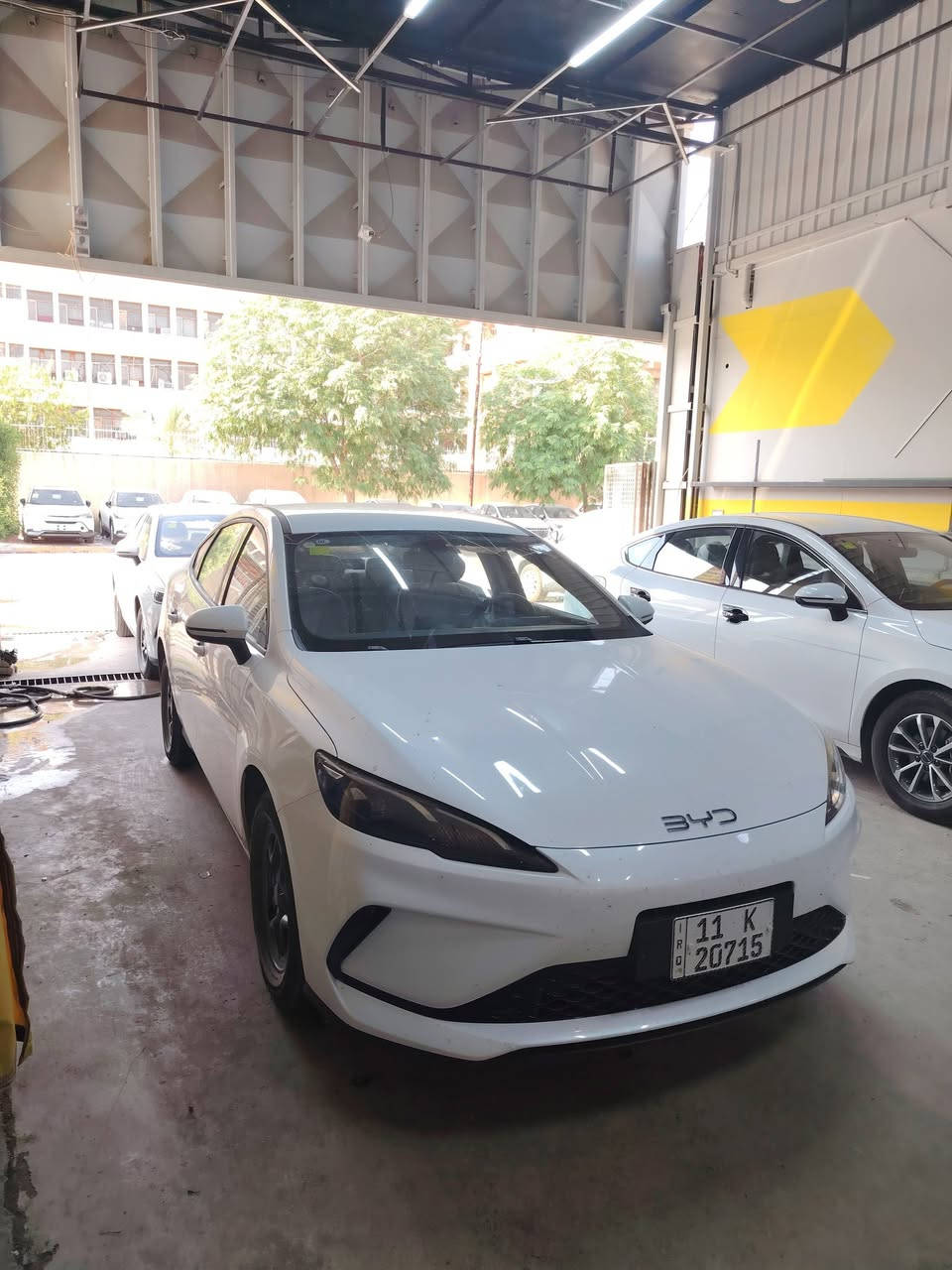 السلام عليكم
افضل عروض المستخدم التواصل عن طريق الاتصال 
BYD المستخدم بكل انواعه ديستروير سيل05 كن بلاص 
ديستروير موديل ٢٠٢٥ كفالة عامة من كل شي 
عداد المسافة //
HEV 2000
EV 3000
كاعيات و سستم سوادات وكل غراضها كاملة
////////////////////////////////////////////
سيل 05 موديل ٢٠٢٥ كفالة عامة عدا رصعة متبين 
عداد المسافة //
HEV 3000
EV 7000
كاعيات وكل غراضها كاملة 
/////////////////////////////////////////////
كن بلاص ٢٠٢٥ كفالة عامة عدا PDR باب الصدر ميبين بس بالسونار الداخل (( ابيض )) 
عداد المسافة //
HEV 1500
EV 1600
مغلفة ارضية وصندوق  وكاعيات وفرشة دشبول 
للاستفسار الاتصال ***********
الكريعات شارع المعارض
