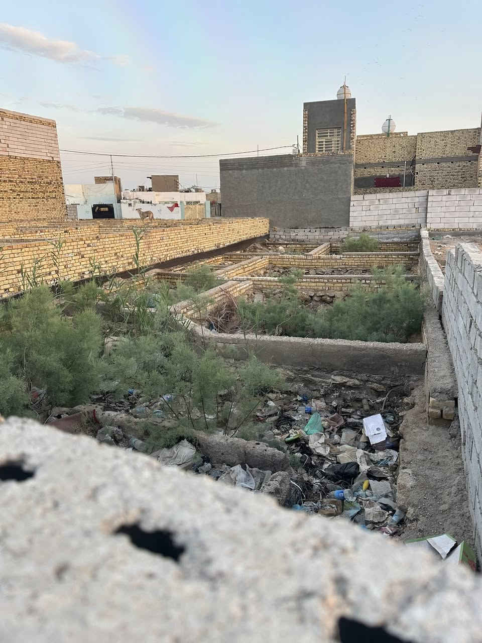 عرصه طايو زراعي سند ٢٥ 
المساحه ٢٠٠ متر 
الموقع : حي الامين شارع التنانير 
الواجهه ٨ م والنزال ٢٥ متر 
كافة الخدمات ماء - مجاري - تبليط 
السعر ٢٢ مع المجال 
للاستفسار الاتصال على الارقام التاليه او مراجعة مكتب الحولي للعقار مقابل باب الجامعه الخلفي 
***********
***********
