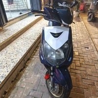 دراجة سكنس فحل للبيع الدراجة وارد كوري الدراجة طلاعات قبق مسح الدراجة ...