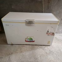 مجمدة • حجم كبير • بابل