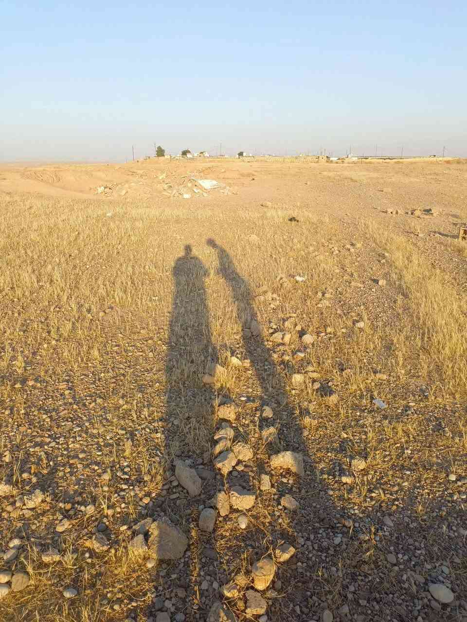 قطعة ارض للبيع مساحة 200متر قريبة على البيوت كهربا وألمي يبعد منة 60متر سعره 13مليون وبيه مجالبحي الشرطه التصال على هاذة الرقم ***********
