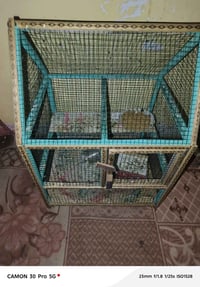قفص طيور • كوكتيل • جديد