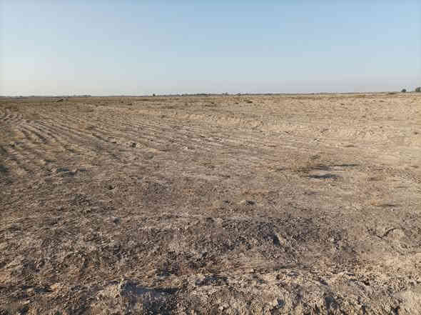 على بركة الله توجد ارض زراعة طابو سند 25
مساحة 8دونم قريبة على الشارع العام تصلح زراعة مشروع تجاري البدير السند مرفق الاتصال على الرقم 
***********
