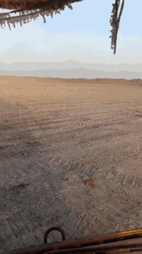 اسلام عليكم اني سائق بلدوزر ولي محتاج سائق بلدوزر موجود يتصل على الرقم...