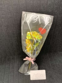 ورد • عدة ألوان • مغلف/بدون تغليف