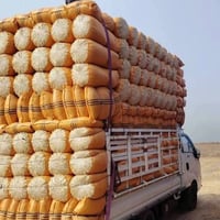 بلاش وينه ليدور تبن للبيع ابيض شحم جميع القياسات توصيل الكل من محافظات...