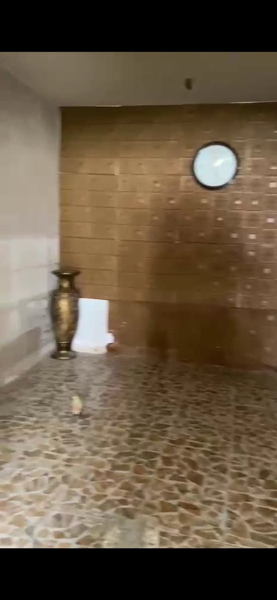 السلام شقه للايجار غرفه و صاله و مطبخ و حمام مدخل منفصل بالروضتين خلف مجمع الكفيل للإيجار بدون عموله قفل ٢٥٠


**إذا كنت صاحب هذا الإعلان وتريد حذفه لأي سبب، رجاءا أرسل رسالة إلى الدعم الفني**