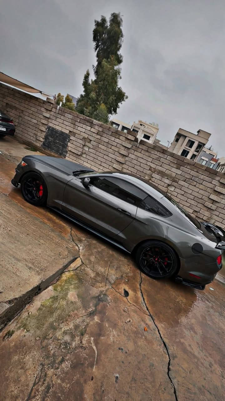 موستنك 2016 ستة سلندر V6
بدون اي نقص بدلت بلكات اصلي نوزات دسكات فيت بم كامله سياره 

كير مكينة اكسل كفالة

السيارة حادث امريكا جاملغ وبنيد  +بيهة مكانات صبغ ابيع حزام ماعده صندوك وسكف

بدون شواصي 

فقط بيها لغد واحد على جهه السايق

بيه اضافات وتعديلات

•  دعامية شيلبي•

•  جنح شيلبي

-دفيوزر

-دوس

-لحية

-كفرات مري باتمان

-دواخل السيارة تغطيس

- داخل السياره احمر 

رقم اربيل تحويل او وكالة وناصبه و احلى من الصور  

السعر 138 ورقة

 مكاني موصل 

***********
