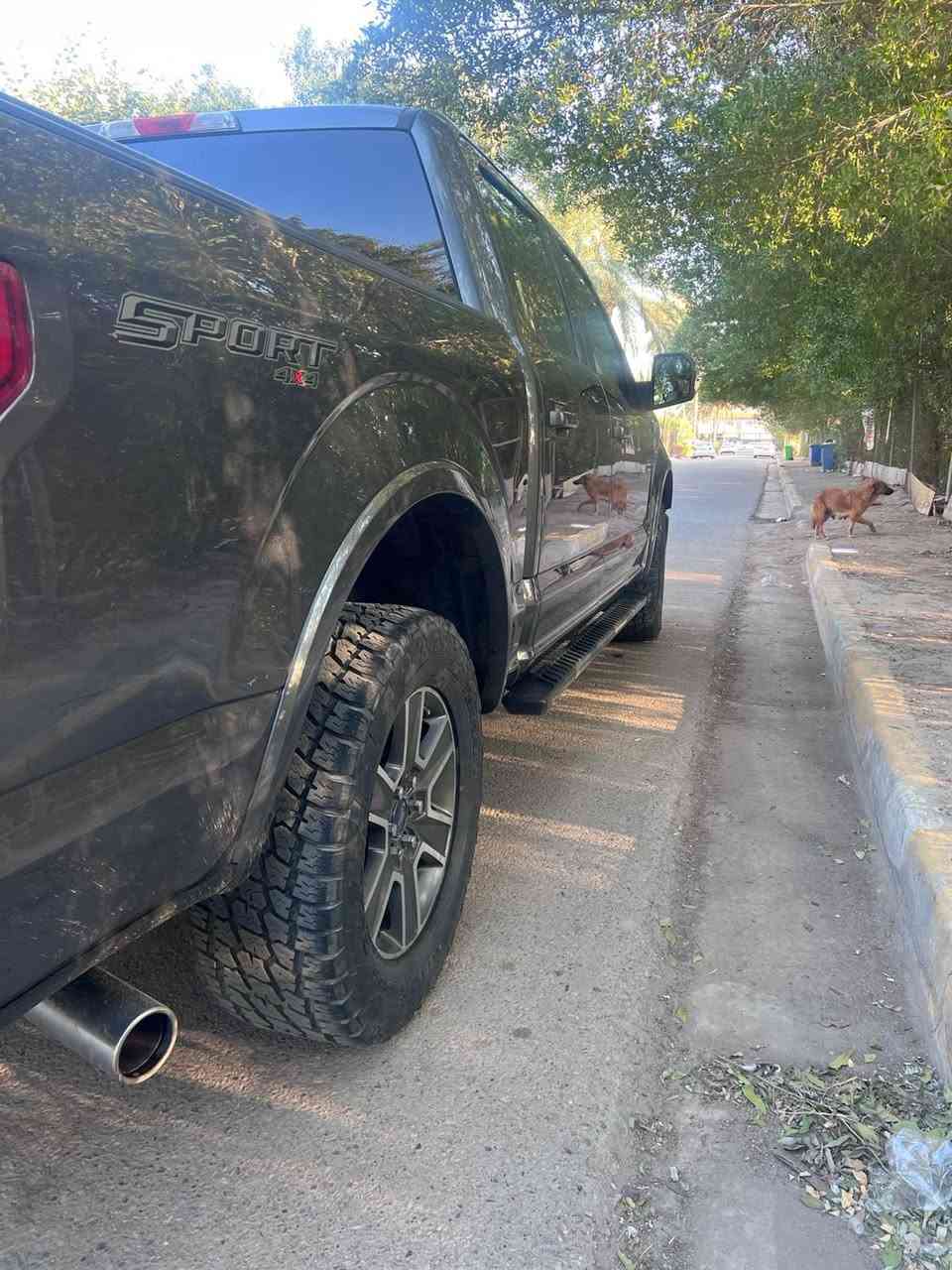 السلام عليكم 
للبيع فورد f150 xlt 2015
باب طويل بدي قصير
كير طرح كشن منفصل بيها درج باب البدي
شاد شاشه اصلي للمسجل
بيها غطاء بدي
وارد امريكي كلين 
مكينه 5000 8 سلندر 
بيها منظومة غاز يعني انسى الصرف 
السياره خير من الله 
كير مكينه حداديه مكفول
مسويلها ادامة كامله
تخم تاير جديد
بيهه بارد بالبدي عكس السايق
السعر 210 
للتواصل ***********
