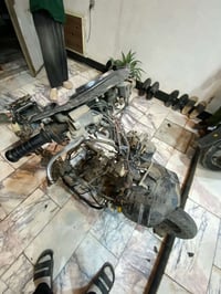 شاصي سكنس فحل ياباني وياضفيره وعقل وجويتر وكلشي كامل للبيع السعر ١٣٥ و...