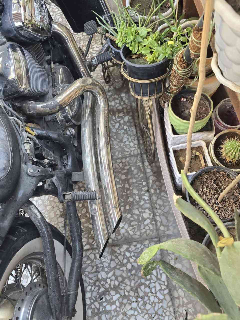 السلام عليكم
صدر ستد بلادي كامل مع التاير وفج بريك والجاملغ والستيرن وعداد السرعه
صالنصه ستد كوبرا صوت طرب
شوته ديفدسون محوره على ستد كامله


**إذا كنت صاحب هذا الإعلان وتريد حذفه لأي سبب، رجاءا أرسل رسالة إلى الدعم الفني**