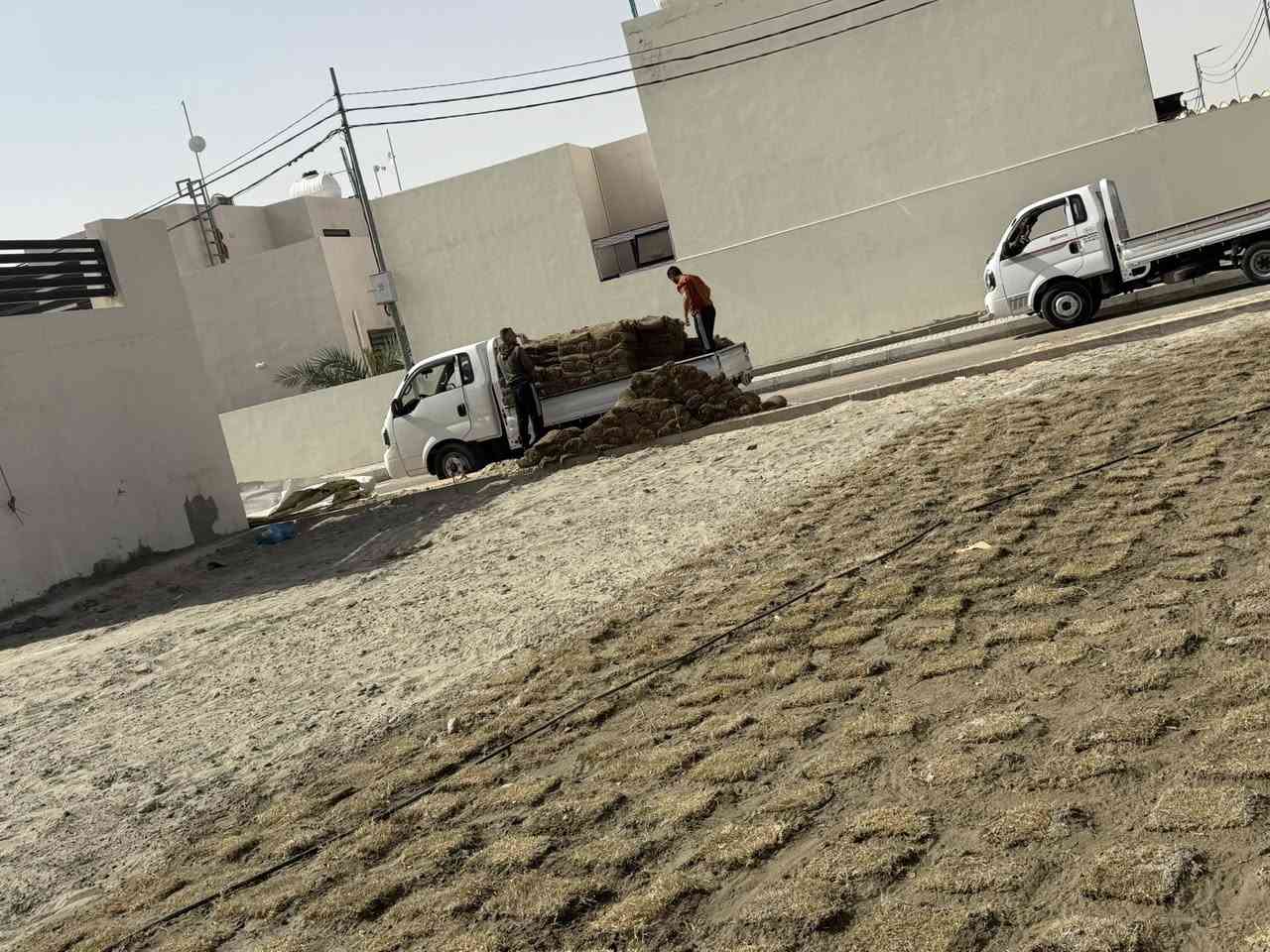 ٢٠٢٦/٣/١٤ استمرار الأعمال الزراعية( ادامه الحدائق المنجزة) وكذلك إنهاء أعمال زراعة حديقة المولدةzone3وzone2 والمباشرة بزراعة الأماكن الفارغه في حديقة zone4 ثيل باشرافنا وبالدعم من ادارة المشروع


**إذا كنت صاحب هذا الإعلان وتريد حذفه لأي سبب، رجاءا أرسل رسالة إلى الدعم الفني**