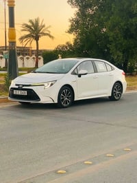 كورلا هايبرد • ٢٠٢٤ • كربلاء