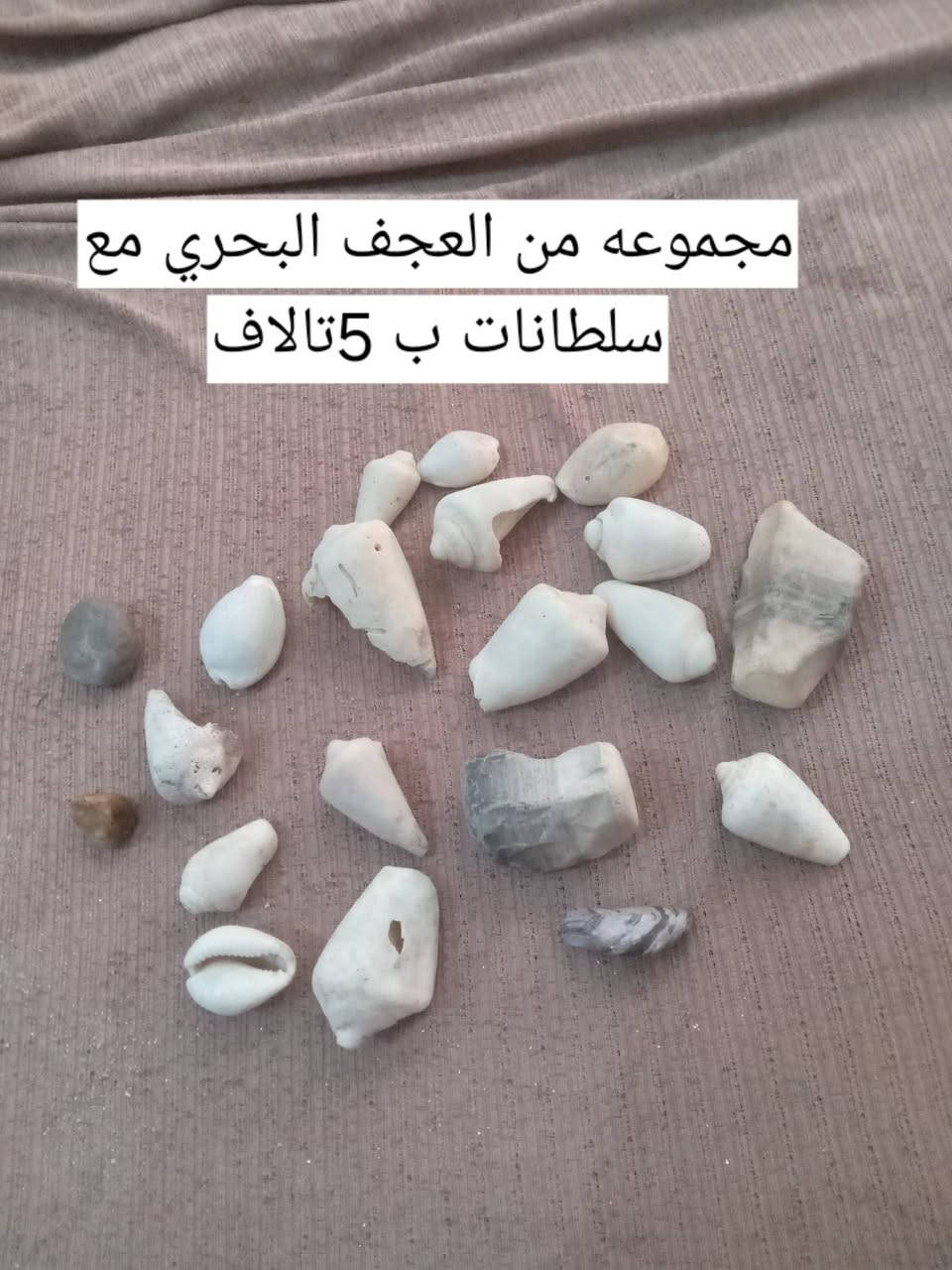 سلام عليكم مجموعه من الحجار عطف بحري مع سلطانات مع هبهاب مع سلسماني مع جزع مع عقيق احمر وشفت العبد مع مرجان سعر الكل ب10تالاف او مجموعه منهن ب5تالاف تفاصيل داخل المنشور مكاني بالبصره بالزبير ***********

