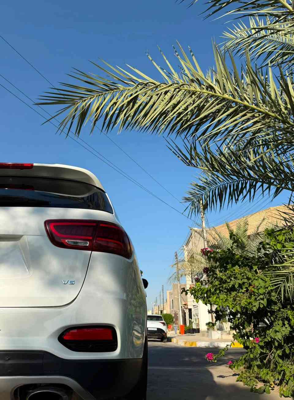 سورنتو 2020 خليجي سيارة جديدة ماشية 37 الف حقيقي رقم بغداد نص مواصفات شاشة بصمه جنطة كهرباء كشنات الامامية كهرباء تحكم ستيرن حساسات امامي خلفي بردات خلفية 7 راكب 3 قطع تبريد السيارة جديدة بمعنه الكلمه مكفوله بيهه بارد بطرف الجاملغ الخلف السائق مكينه 6v السعر 255 للستفسار ***********
