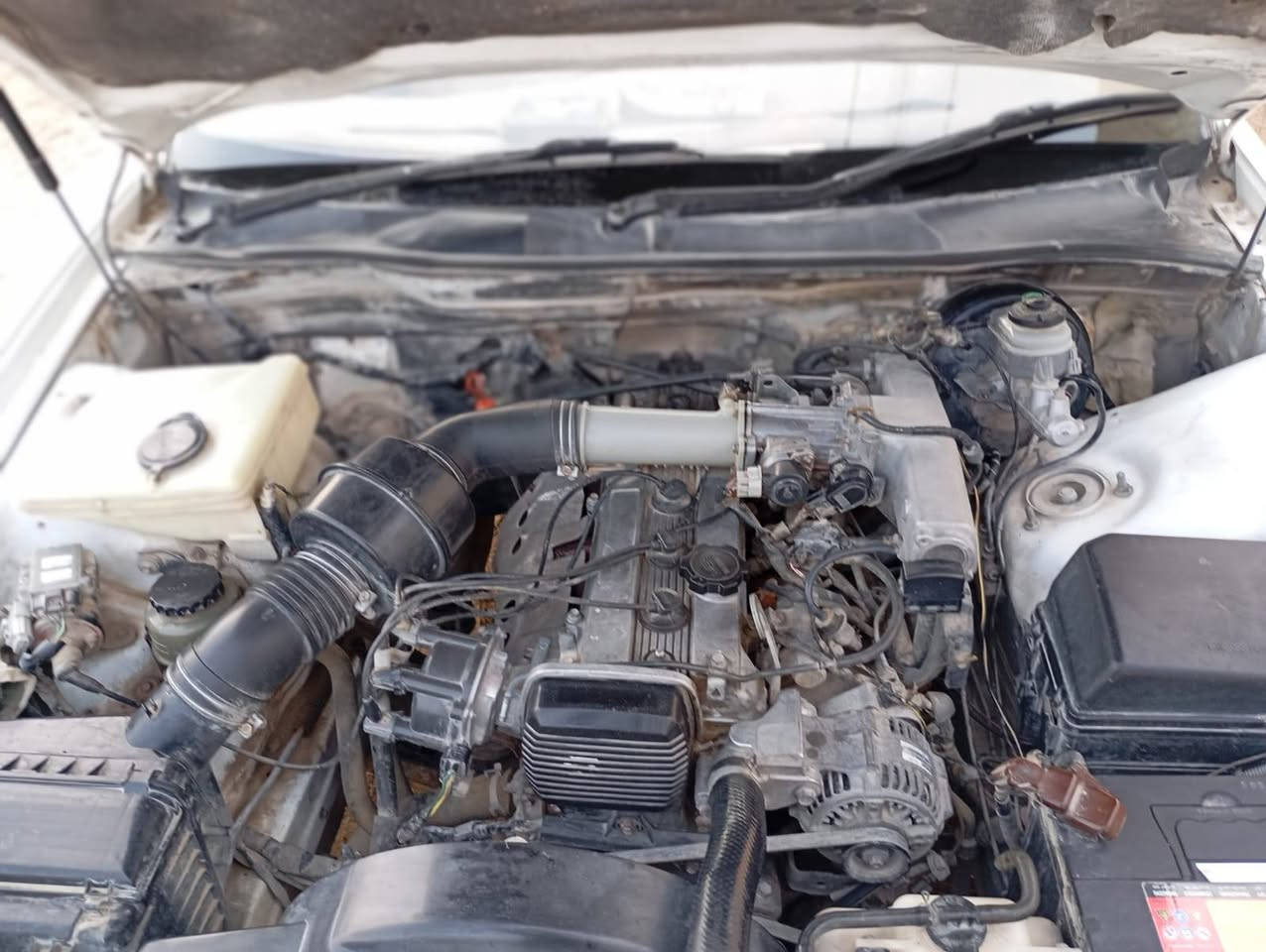 سلام عليكم مارك للبيع رقم ديالئ دولي بسمي سنويه ماساقطه مكفوله عيب شرعي واصوليات مكينه ونجي وتبريد ثلج حداديه زينه سياره جاهزه مصخم شاشه كامره بصمه تشغيل دواخل نضيفه سياره بيه ربع الكدام امبدل وبيه كتاب من كريم حسون السعر ٥٥وبيه مجال بسيط
اتصل وتدلل *********** مكاني شطره
