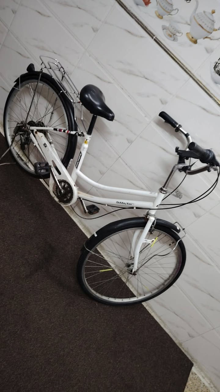 السلام عليكم اخوان داخل كروب بيع شراي باسلات عامه في الموصل هذا باسكلي للبيع عبد الحليم لون ابيض حجم 26 لشه مرغوبه والله العظيم وياله جدد تايات جدد جوابه جدد كلشي ما يرادلو موديل 2015 ياباني باله (سله +اعلام ثنين+ اغلف مال اسطابات كدام ثنين+ استاند موبايل جدد) بعد شتريدون السعر 80 قفلووو مكاني موصل شراي يخابرني مو شراي يرحم ميتينك لا تخابرني *********** اسيا فقط
