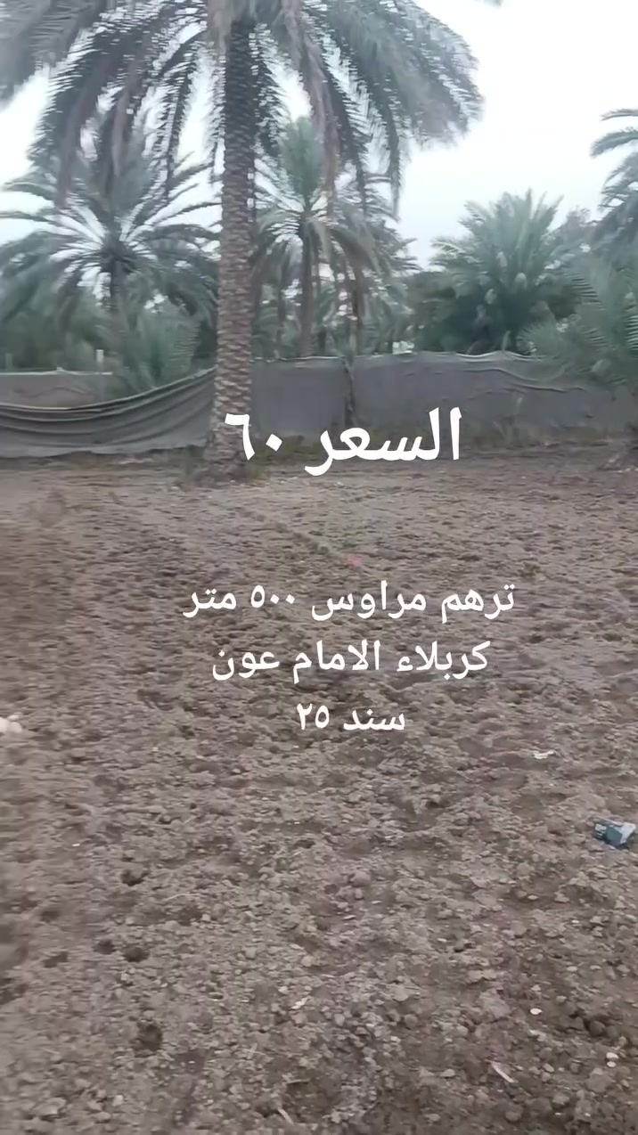 ♦ترهم مراوس
المساحة ٥٠٠ متر سند ٢٥ كل الخدمات متوفره عرض الشارع ٨ متر وجه الارض ١٦ متر السعر ٦٠ 
***********

