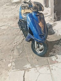 فراشة • كايمه • تجفيت