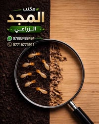 مكافحة الأرضة • سونار كشف • ضمان ٥ سنوات