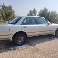 موديل ١٩٩١ • مكفولة • مصبوغة جماليه