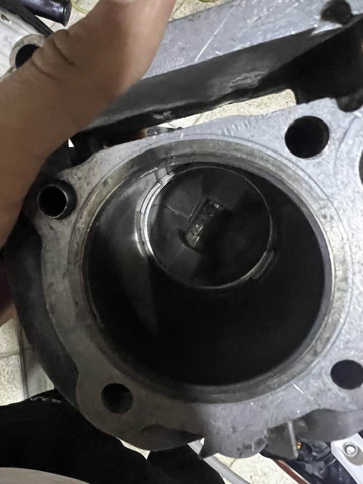 كابريتر قفاز حجم ٢٦ ٢٥ الف وبيه مجال
لوشه ٦١ ولفين اكبار ٤٠ الف
فشكه فلاوين ٢٠ وبيه مجال
الى شلع ٦٠ الف


**إذا كنت صاحب هذا الإعلان وتريد حذفه لأي سبب، رجاءا أرسل رسالة إلى الدعم الفني**