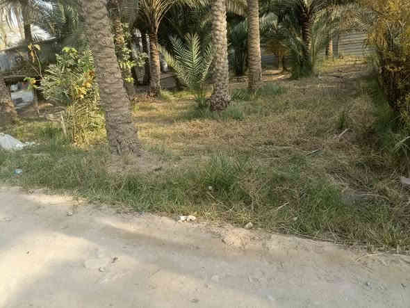 للبيع قطعه ملك طابو صرف المساحة الصافية 300 متر واجها القطعة 14 متر .الحسينية شارع الحافظ تبعد عن الامام 4 كيلو قرب مستوصف الحافظ سعر القطعة 82 مليون
للستفسار اكثر مراسله الصفحه او الاتصال علا الرقم
‏‪***********‬‏ فقط

يتم نشر القطع المضومنه قانونيا علا هاذ الصفحة
