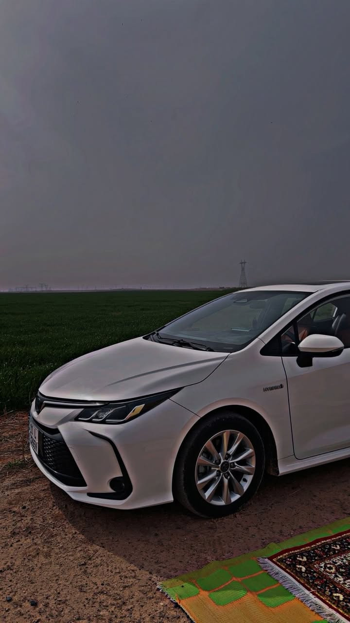 السلام عليكم كورلا موديل 2024 ماشيه 20 الف مكفوله السياره رقم بغداد باسمي. 150$
بصمه.  فتحه.  مانع انصدام.  رادار.  تحديد مسار.  مثبت سرعه.  تحكمات سترين كامله.   مودات قياده ايكو نورمال سبورت.  هاند بريك كهربائي.  اوتو هولد.  شاشه  كار بلي كرسي كهرباء فتحت سقف داخل مشمشي
رقم الهاتف /***********
العنوان:الانبار:الرمادي
