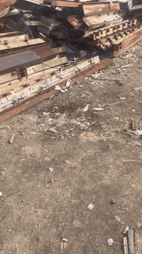 شلمان حجم ٨ انج الى ١٢ انج من٤متر فما فوق ٢٠ طن مكلف بالنشر  ‭٠٧٧٠ ٦٩٥...