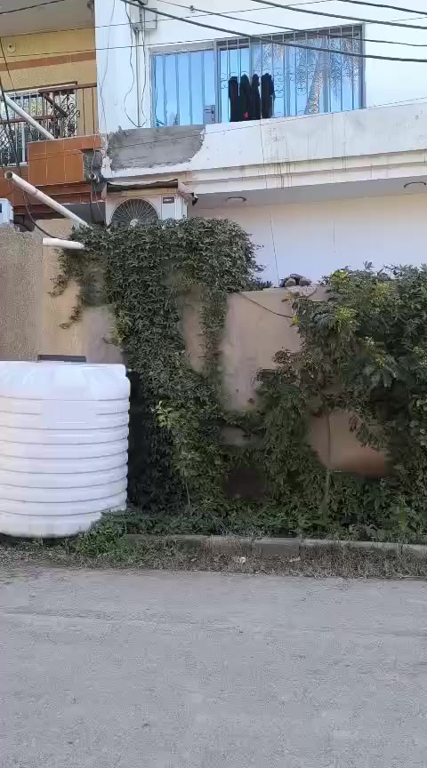 يالله اللهم صل على محمد وال محمد دار للبيع المساحه 180 متر العنوان شفته خلف بيت سعد المختار خدمات كامله وطني ومولد منطقة وانترنيت ضوئي المنطقة مخدومه 
يتكون البيت من 
غرفه نوم 4 
واستقبال جبيره 
ومطبخ 
وصحيات عدد 3
للاتصال 
‏‪0771 265 1855‬‏
