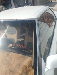 مارك كصيف • ١٩٩١ • البصره ابو الخصيب