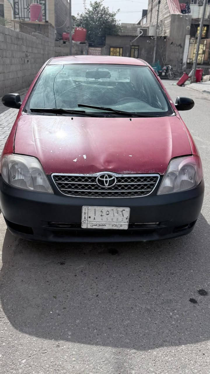 كورلا بيكاتشو ٢٠٠١ رقم كربلاء مشروع وطني مكينه ١٦٠٠ تجي تكلب وتاخذ تراي ابيع كوم حديد اتكفل شرعيات وتحويل راعيهه بكربلاء ....٤٠ ورقه بيها مجال مراوس حسب القناعه  ***********
