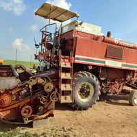 لافرده • ربيعه • نينوى