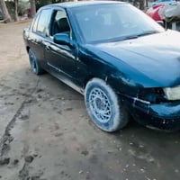 سيفيا • ١٩٩٣ • معمرة