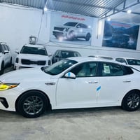 اوبتيما • ٢٠١٩ • رقم شمالي