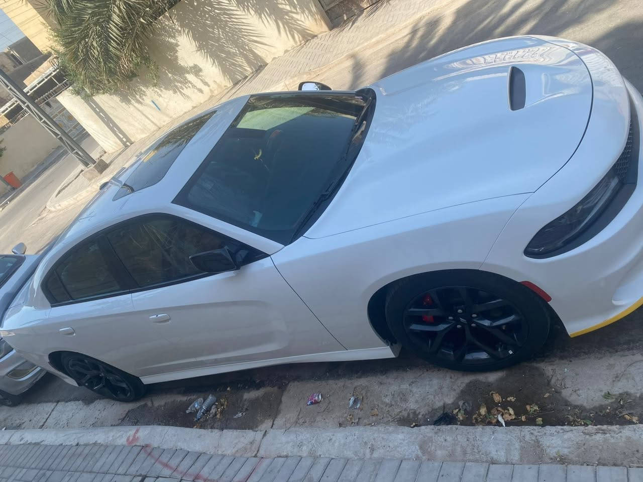 سلام عليكم دوج جارجر موديل2019 GT  سياره   سياره مكفول كفاله عامه  بلادي جي تی
مواصفات سياره GT 
رقم ☎️ ***********
شاشه كبيره كاربلي
كشنات حضن جلد كهرباي 
كشنات تتفيه امامي خلفي
داخل مالکی احمر
شفتات استيرن 
فتحه بل سكف سلايت
كامره خلفي دواره 
حساس خلفي امامي 
بونيد فتحه 
ويل 20 بلادي Gt
سستم سماعات Alpain
سياره ماشيه86 
محرك 3600
2 بصمە شرکە
سياره مكفول كفاله عامه  تبريد تتفيه مكفول رقم سنويه جديد بسمي شرط تحويل السياره احله من صور  كله علي وضع شركه استفسار رقم هاتف ☎️ ***********  مكان سياره بصره
